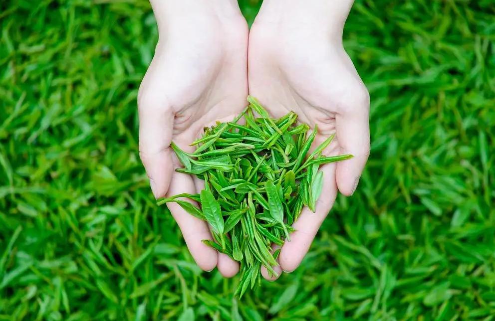 网上卖茶好不好,网上买茶靠谱吧