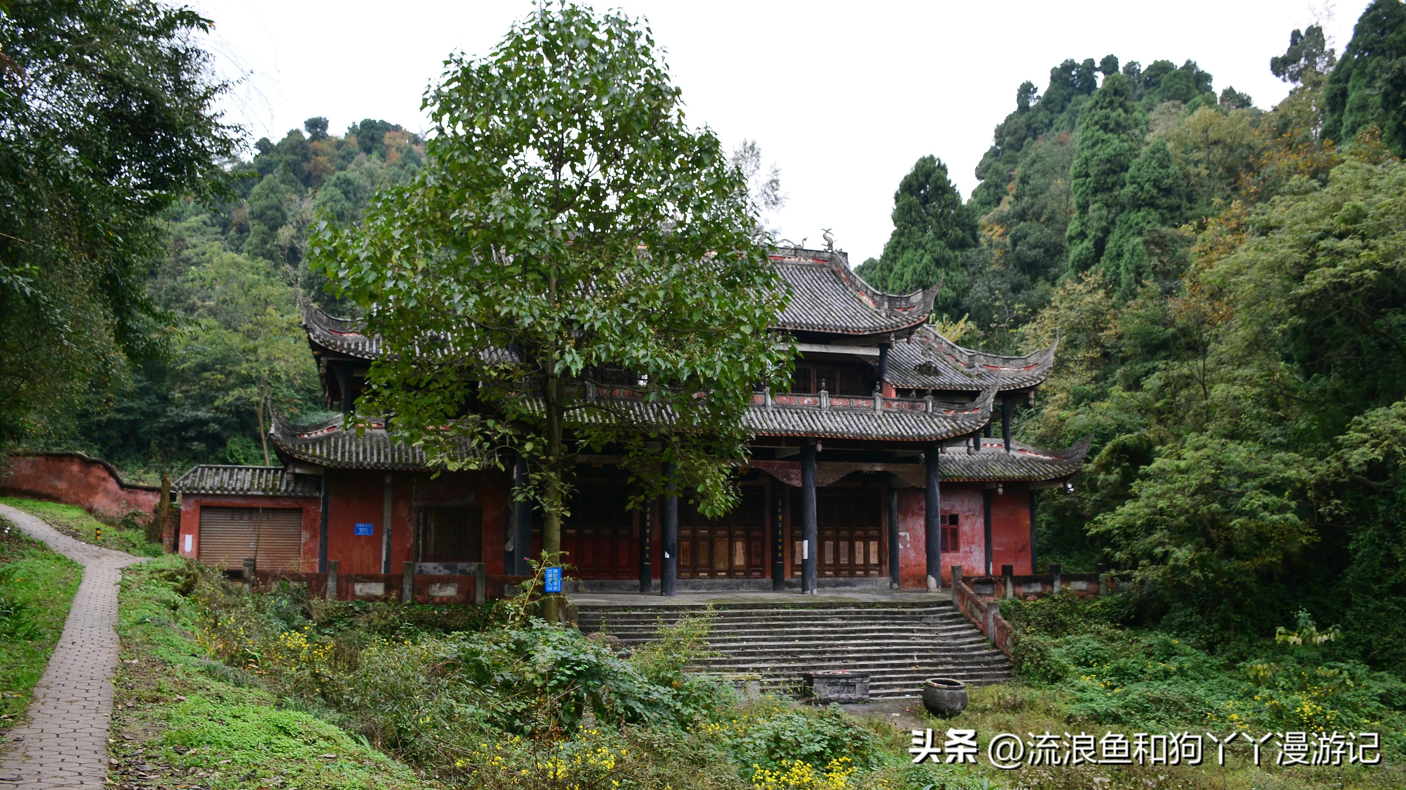 四月份成都近郊一日游好去处,2022成都近郊看雪一日游最佳去处