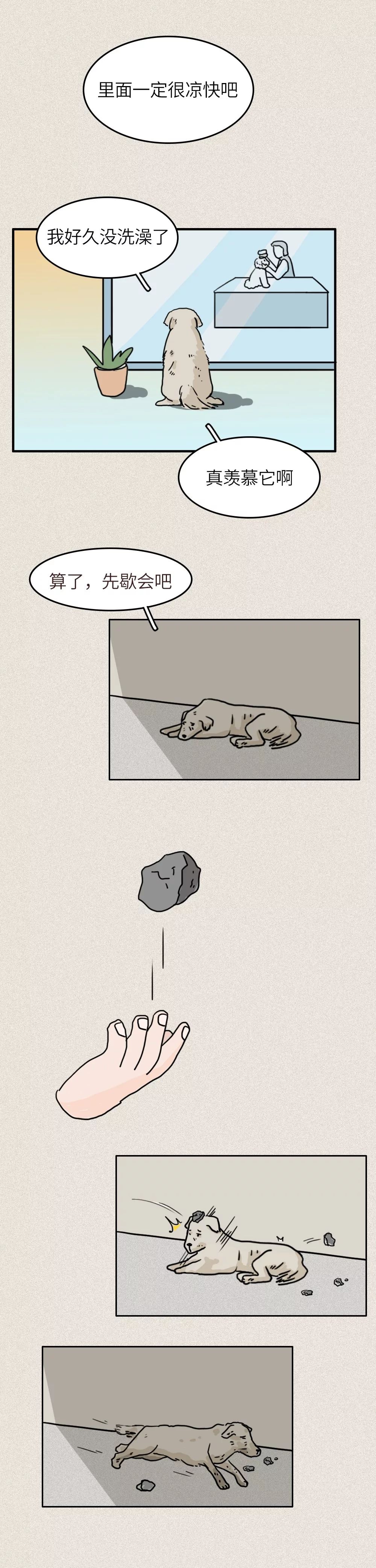 救救我36关怎么过,一只流浪狗自述