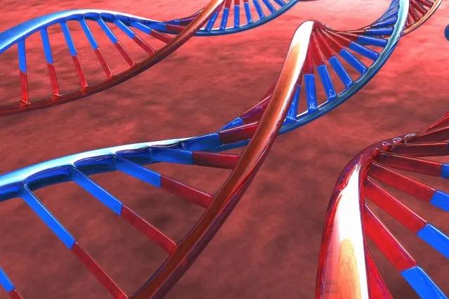 足球运动的危险程度,足球运动跟性格有关系吗