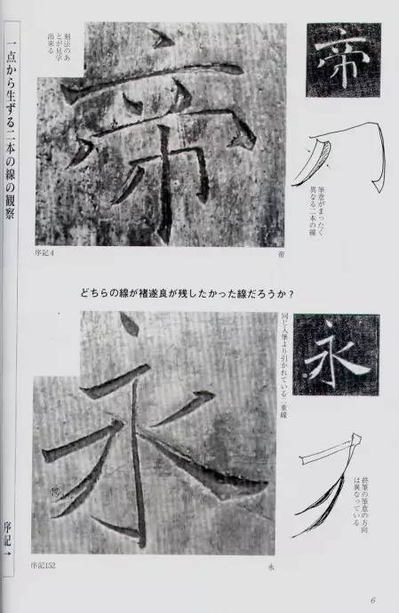 宸ョ瑪鐢绘潹鏅箟鐢诲唽,鏉滈箖鏉ㄦ櫘涔夊畬鏁寸増
