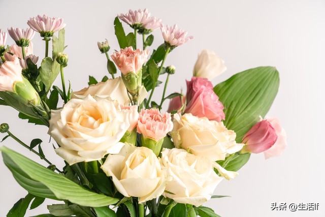 当别人把你当傻子时你该怎么办,面对一个傻子不要拆穿他