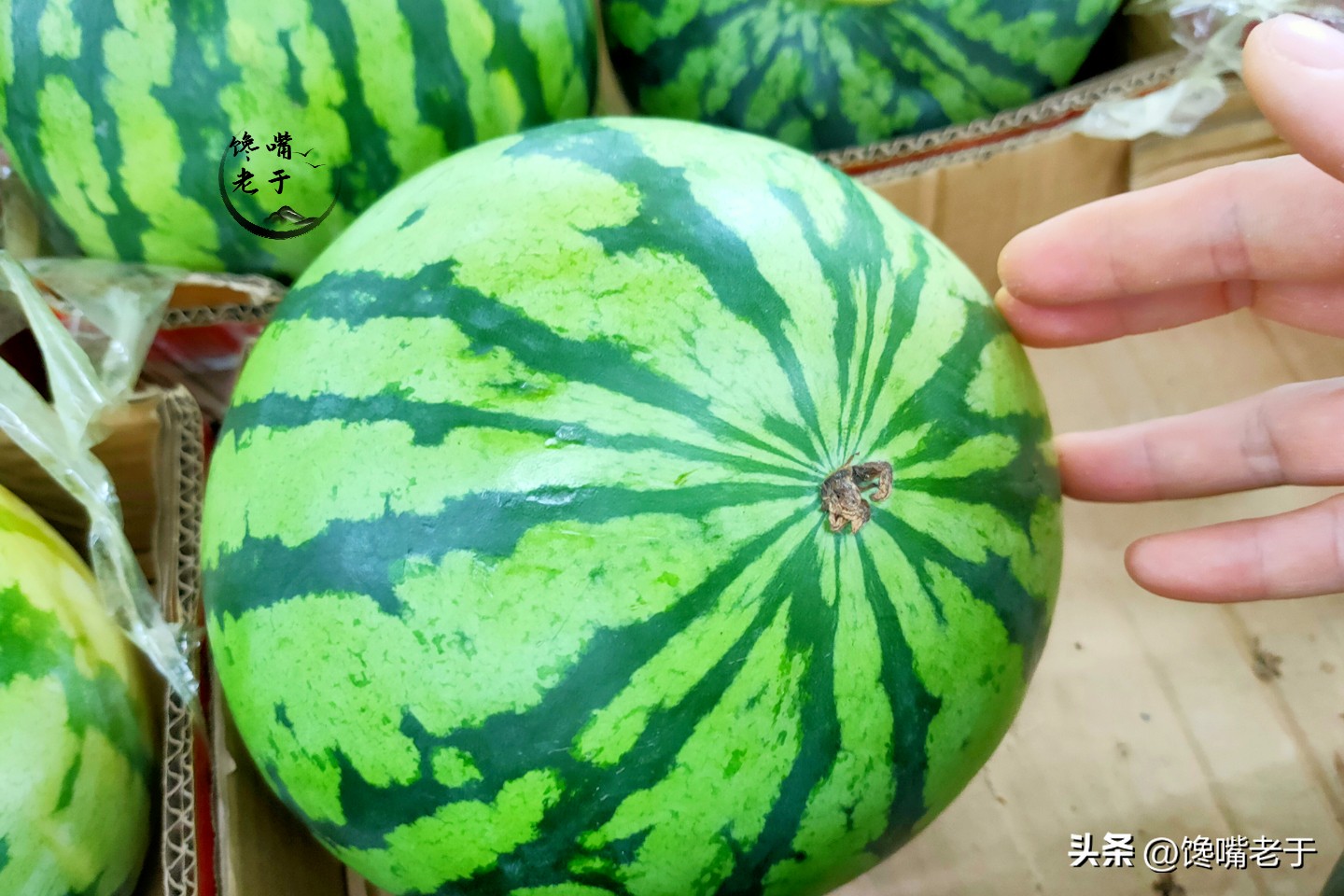 买西瓜要注意以下几点,买西瓜注意这几点