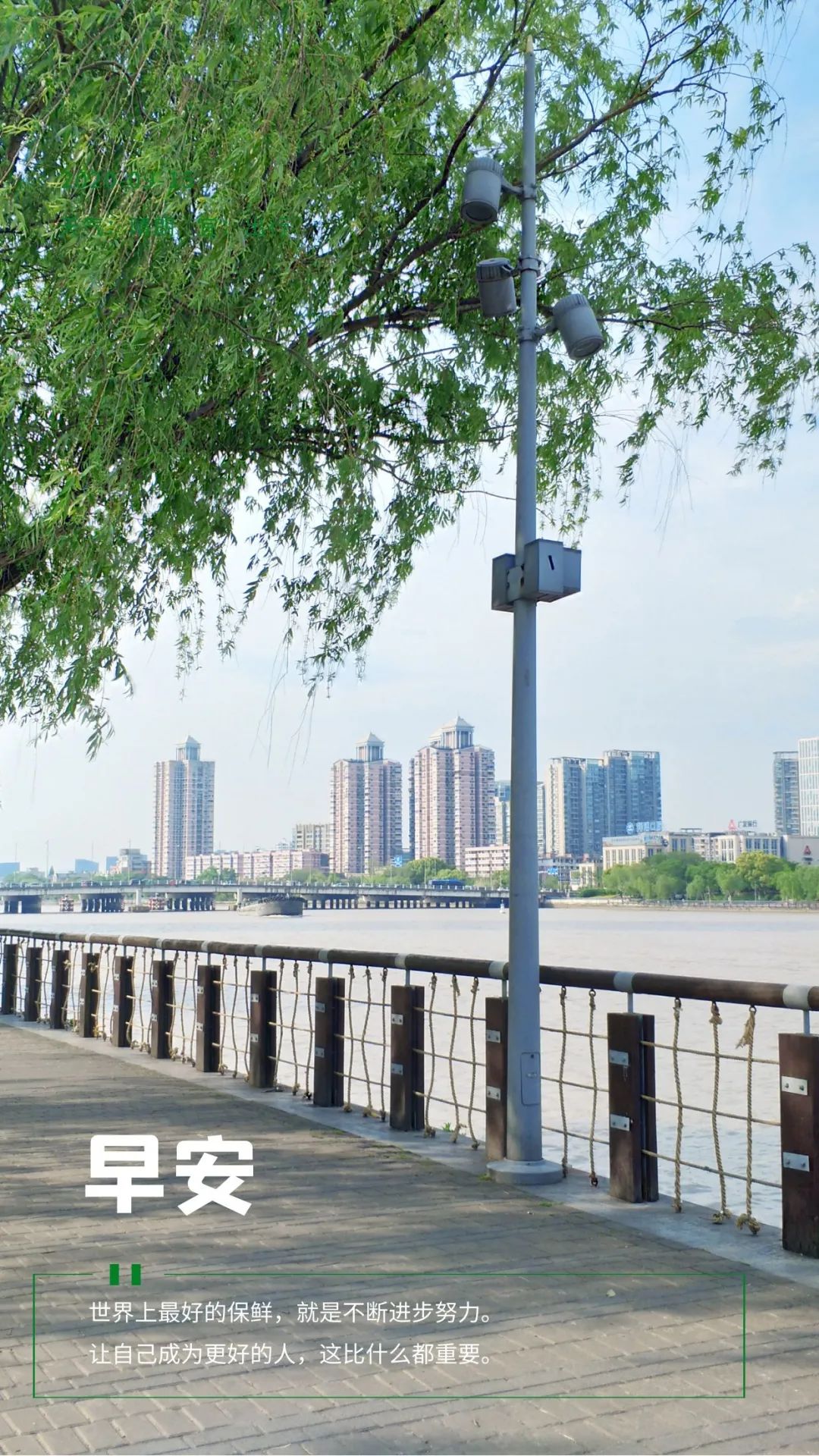 最新早安心语简短正能量的句子,2022每日早安心语