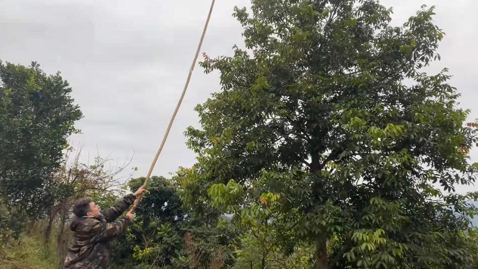 土耳其小伙中国女孩结婚,土耳其小伙娶比自己大的媳妇