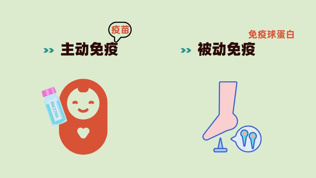 破伤风疫苗和被动免疫制剂的使用,预防破伤风最安全可靠有效的方法