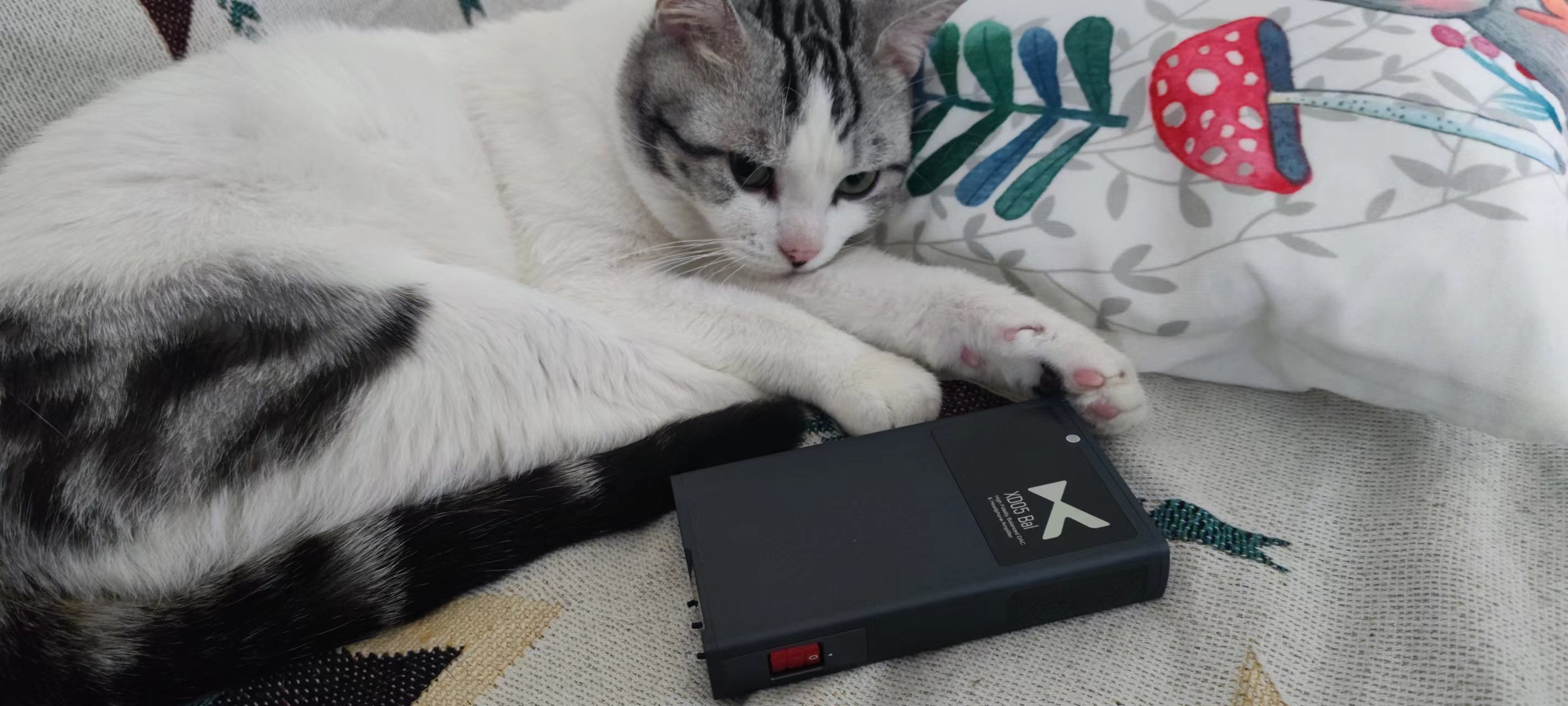 乂度xd05bal评测听感,乂度xd05魔改