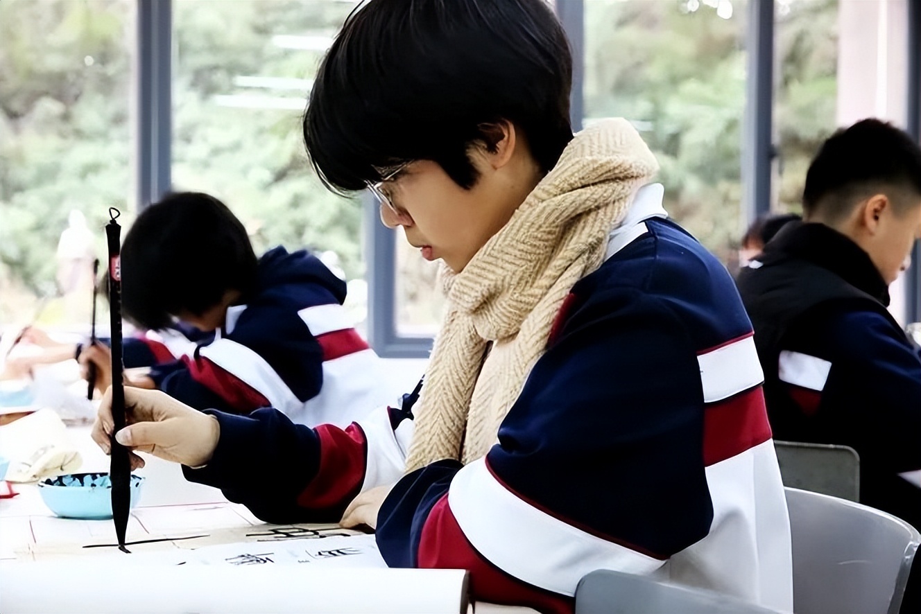 初中成绩排名稳定,中考降分的民办学校