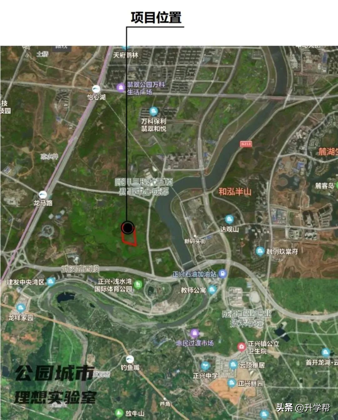 刚刚！石室、泡小官宣落户天府新区，王炸来了