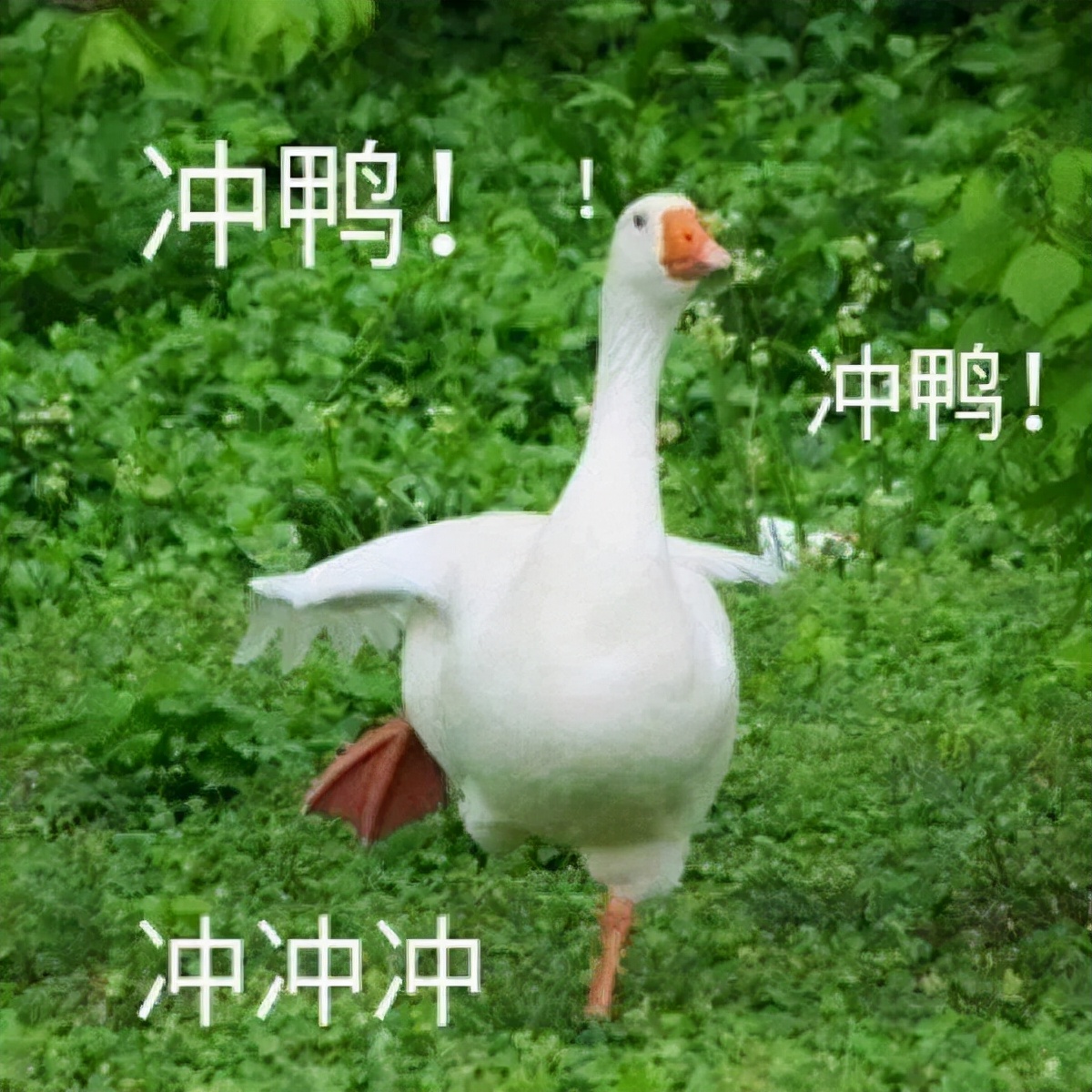 预测刷屏！疫情今春有望结束？适合2月去的18个大美山河准备好了