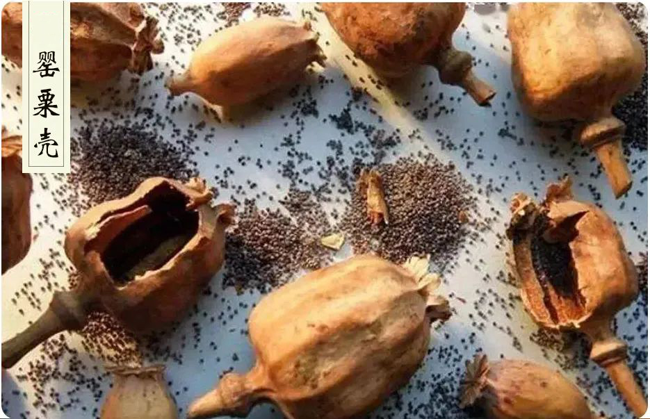 夏天坚持吃金匮肾气丸附子理中丸,长期吃金匮肾气丸伤阴