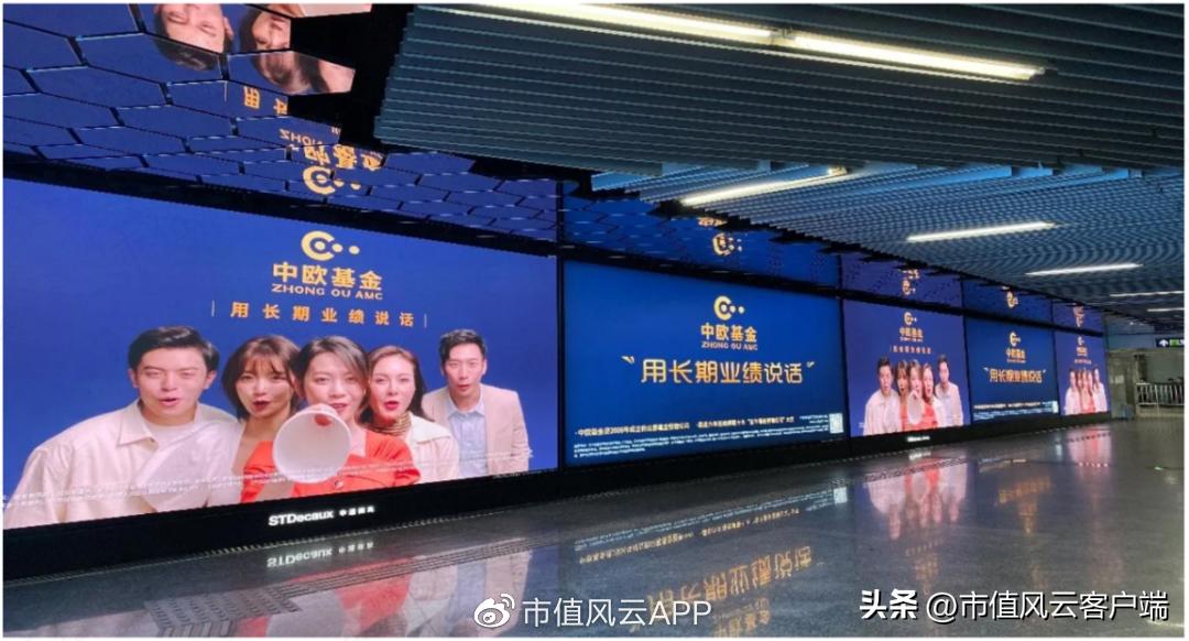 *哈梭**之王，赌性坚强，1“兰”=126“爽”!中欧基金造神，葛兰塌房