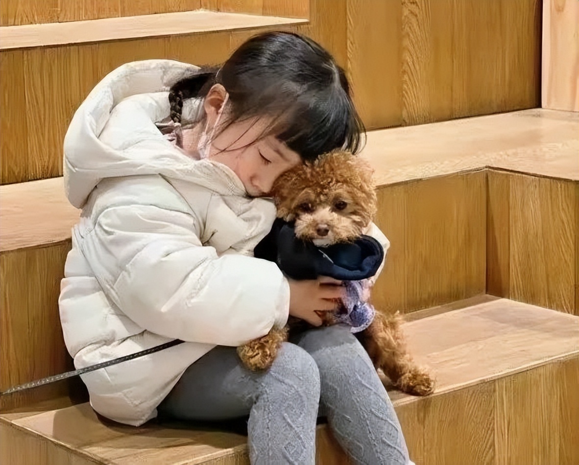 最可爱的萌宠排行榜,萌宠可爱程度排行榜