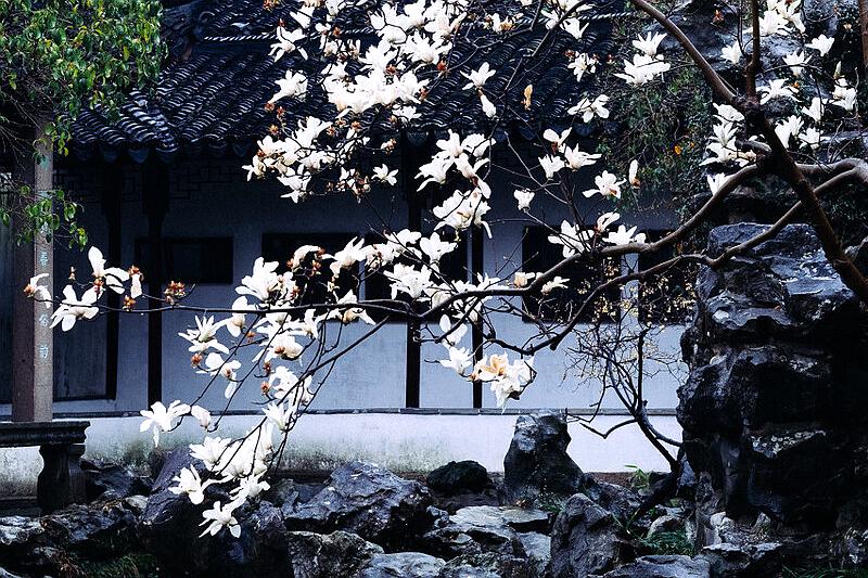 苏州旅游十大赏花景点,苏州赏花最佳景区排名