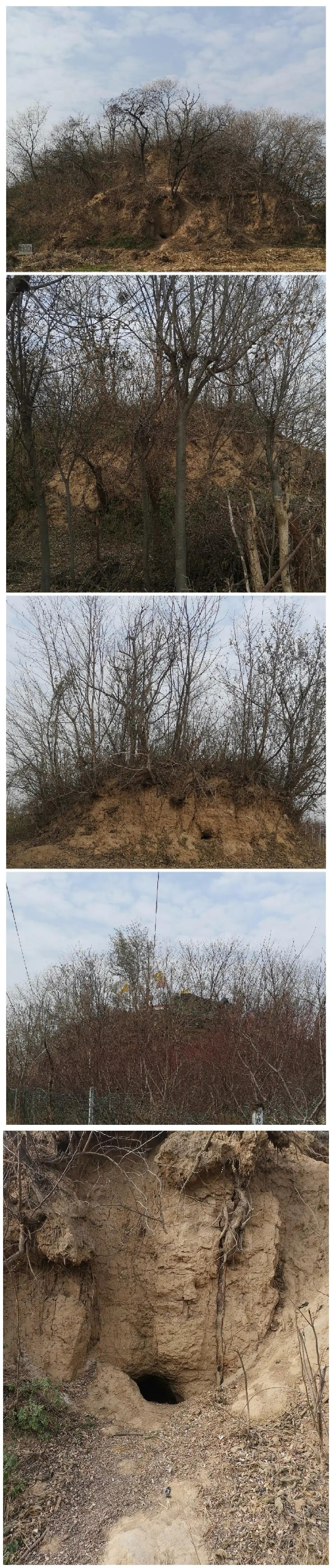 三国演义里的曹植七步赋诗的故事,新三国曹植七步赋诗视频