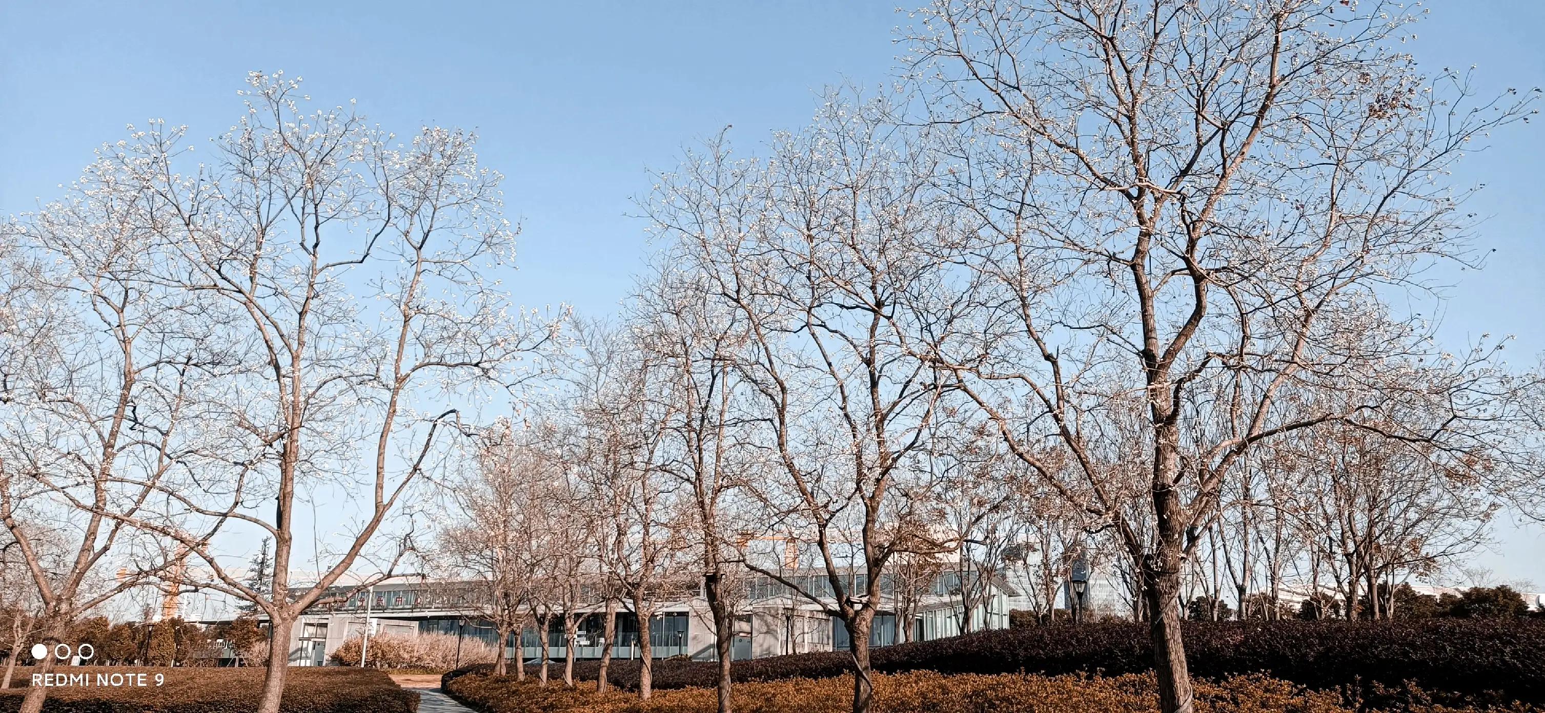 浦东前滩效果图,上海浦东前滩将开的新楼盘