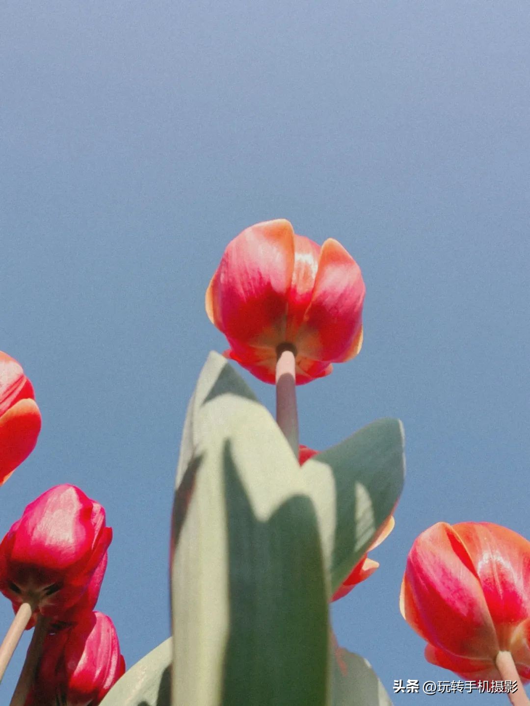 手机废片利用,手机一键变废为宝