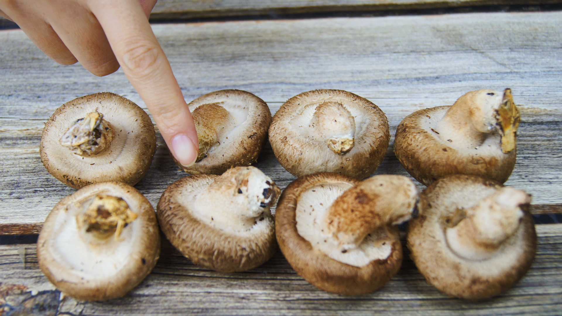 吃香菇到底要不要泡呢,吃香菇有什么讲究