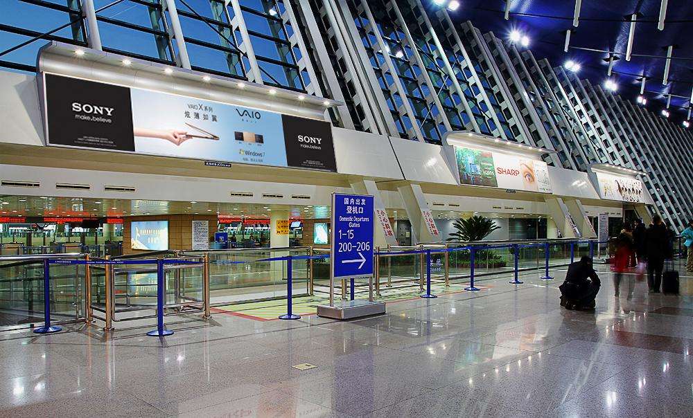 上海打工妹逆袭之路,上海姑娘移民新西兰