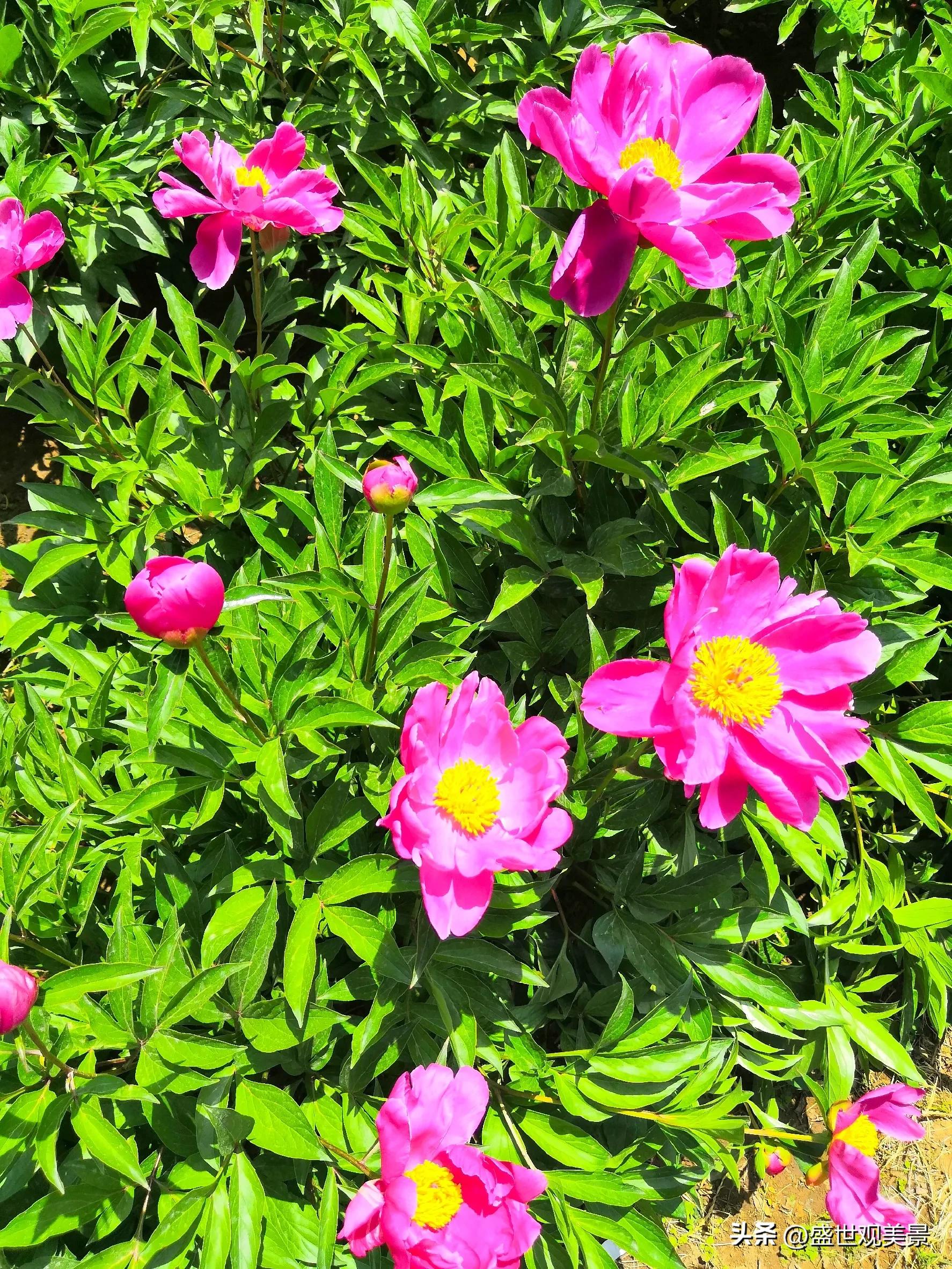 怎样找到头条的流量密码,头条原创文章怎么加推荐量