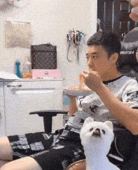 纹身为什么要三思而后行,颈部纹身三思而后行