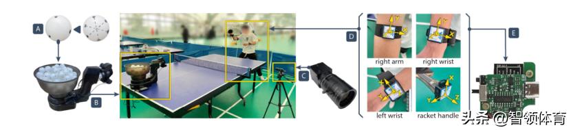 涔掍箵鐞冭繍鍔ㄤ腑鐨勫ぇ鏁版嵁绠＄悊,涔掍箵鐞冩櫤鑳藉ぇ鏁版嵁鍒嗘瀽