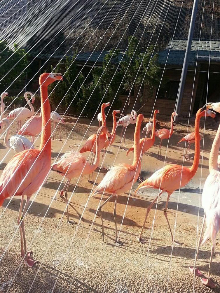 北京周边游一日游的好去处自驾游,从北京去西藏自驾游最佳路线图