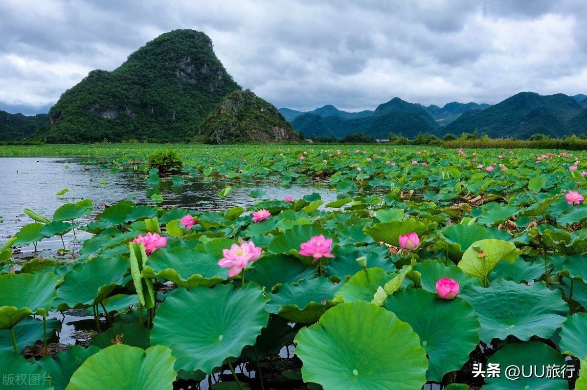 云南最值得去的八个地方,云南最值得去的七个地方
