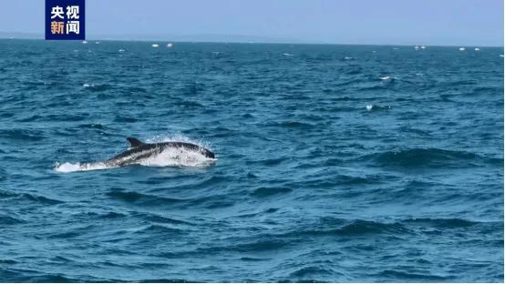 2021.2.14国内新闻,2022.2.1国内新闻内容