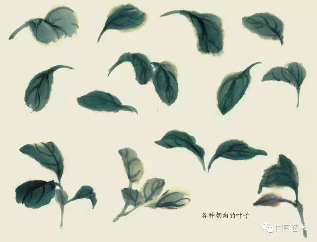 写意丁香花画法,写意鸡冠花的画法教程