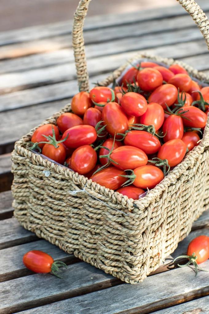 鼓浪屿可以当天预订船票攻略 (鼓浪屿还有免费的船票吗)