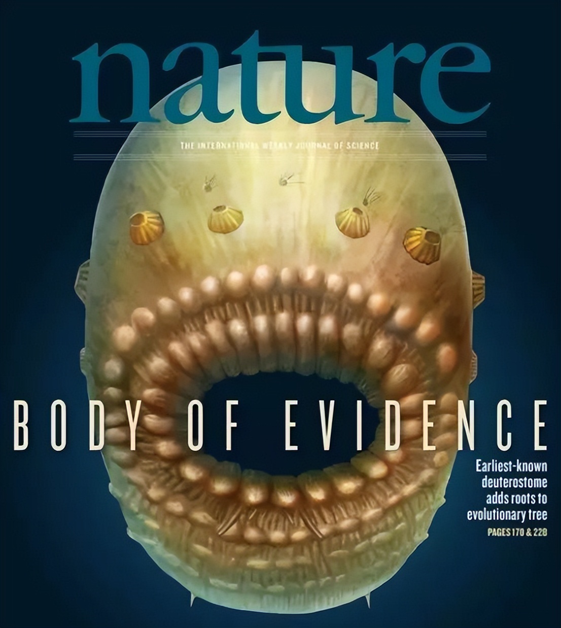 人类的祖先被昆虫吃了几亿年,人类的祖先遇到过巨型昆虫吗