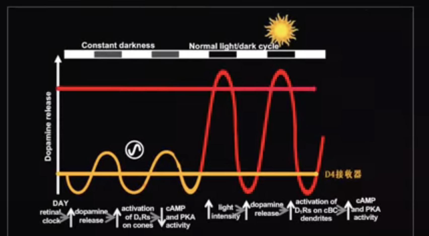 这样无聊的生活该怎么过,怎么度过无聊的日常