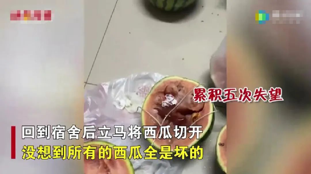 女学生可怜摆摊老人买下全部西瓜,学生看大爷卖瓜可怜