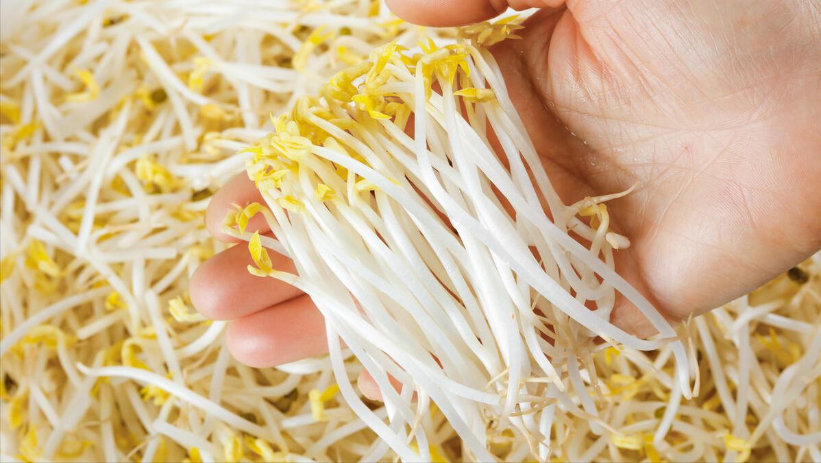 90后长途货车司机,90后大货车司机现状