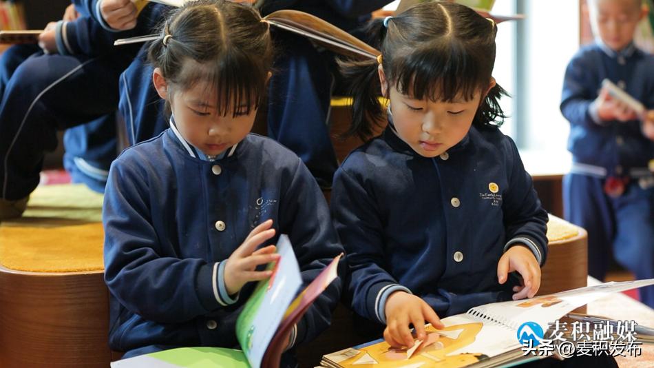 麦积区图书馆,麦积区哪个图书馆可以看书