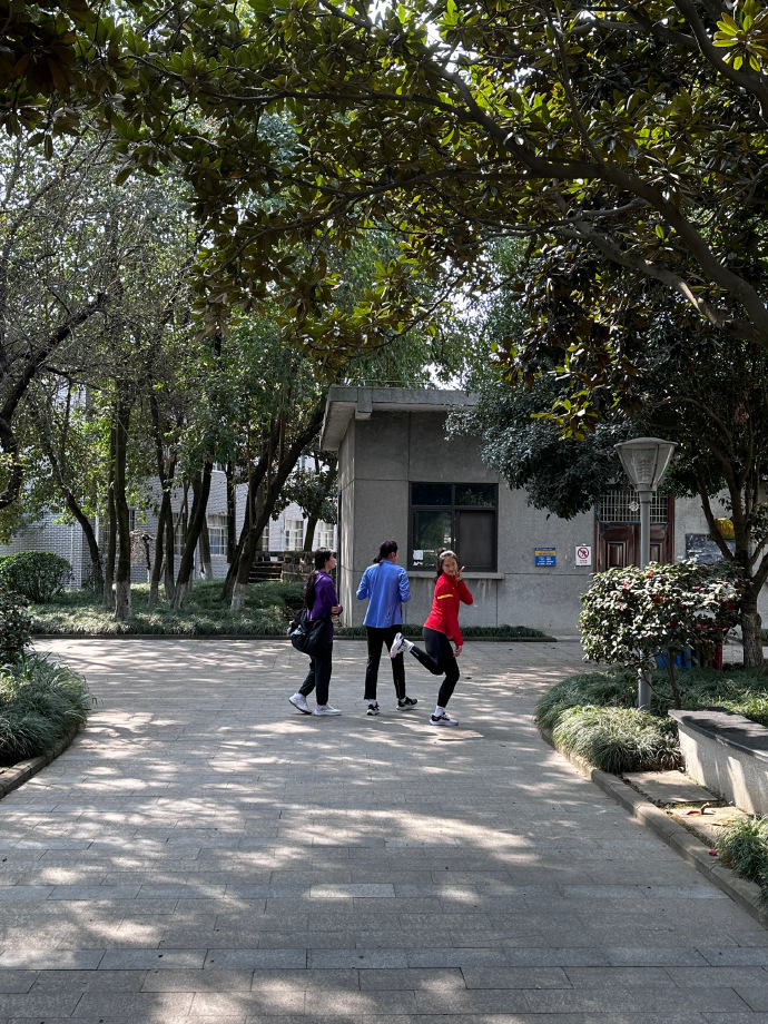 体坛十大美女颜值天花板,颜值巅峰的体坛女神