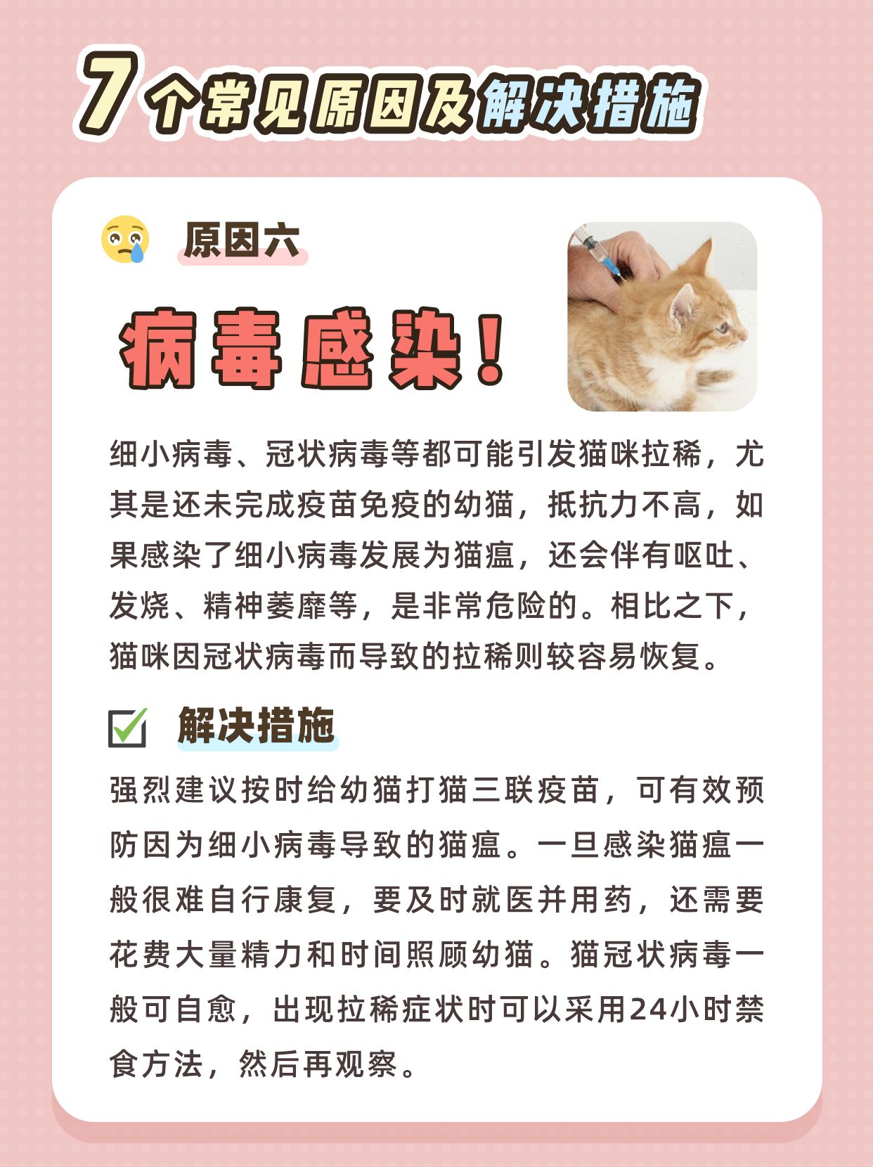 幼猫拉稀的解决办法是什么,幼猫拉稀一般什么原因