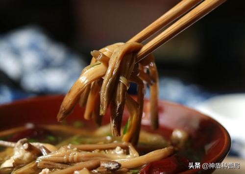 黄花菜开到什么时候采摘品质最佳,黄花菜啥时候最重