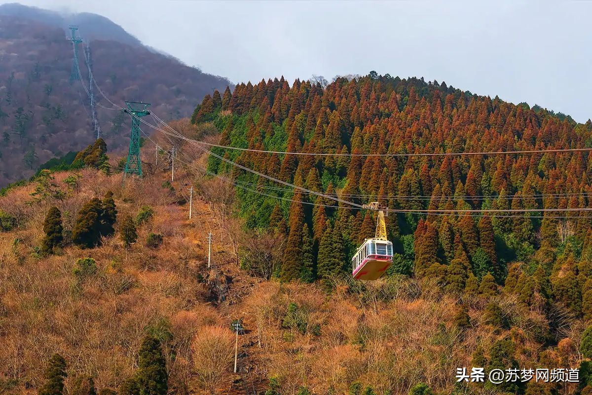 别府居酒屋,别府御原堂