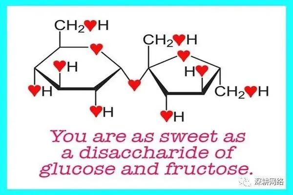 情人节特辑爱情与玫瑰花,情人节特辑