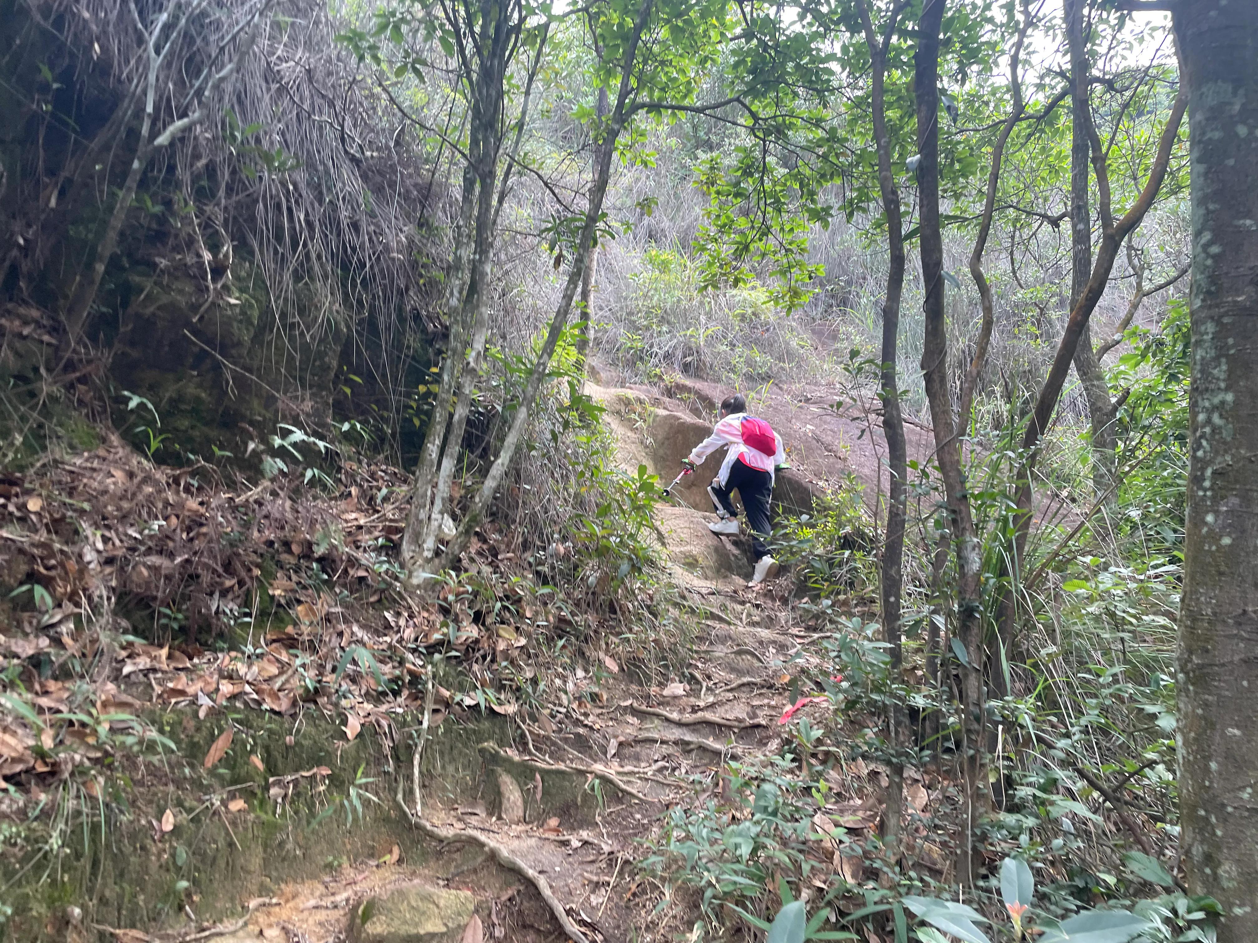 云霄乌山天池风景区旅游攻略,云霄乌山天池风景区怎么去