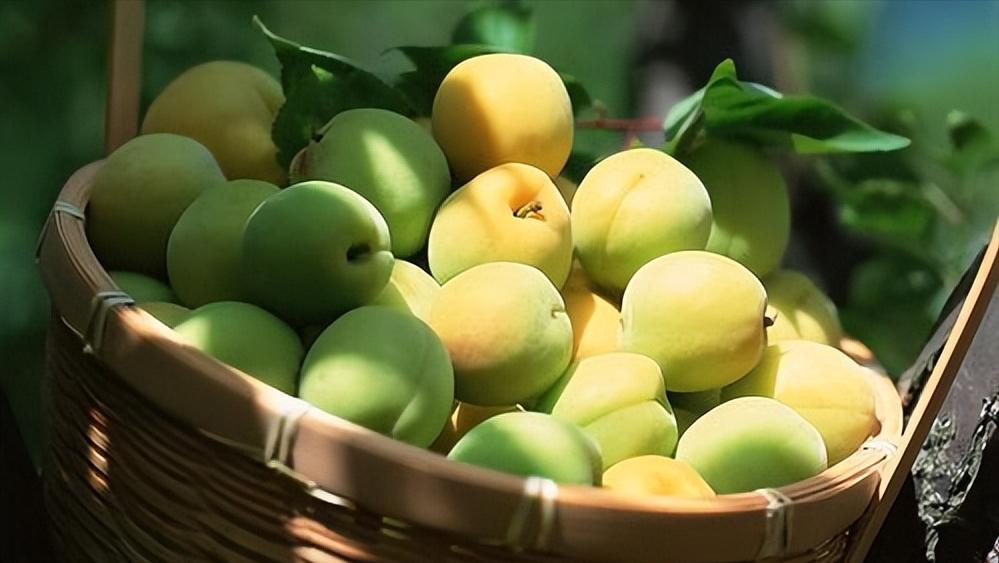 安县魔芋、平武果梅……四川绵阳的地标农产品个个都很赞