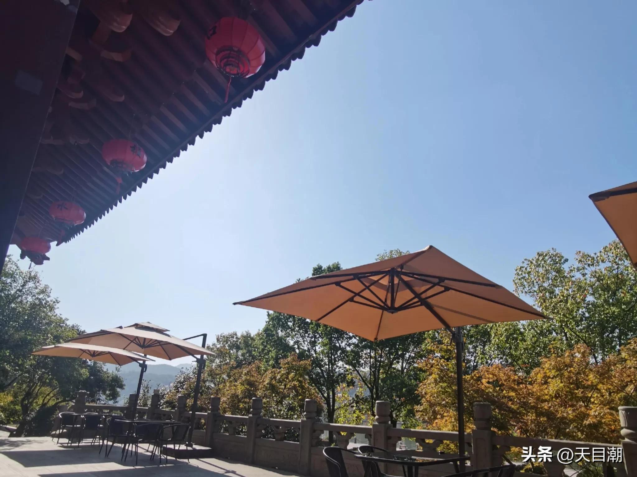 必懂的网络词汇,网络用语一本正经的胡说八道