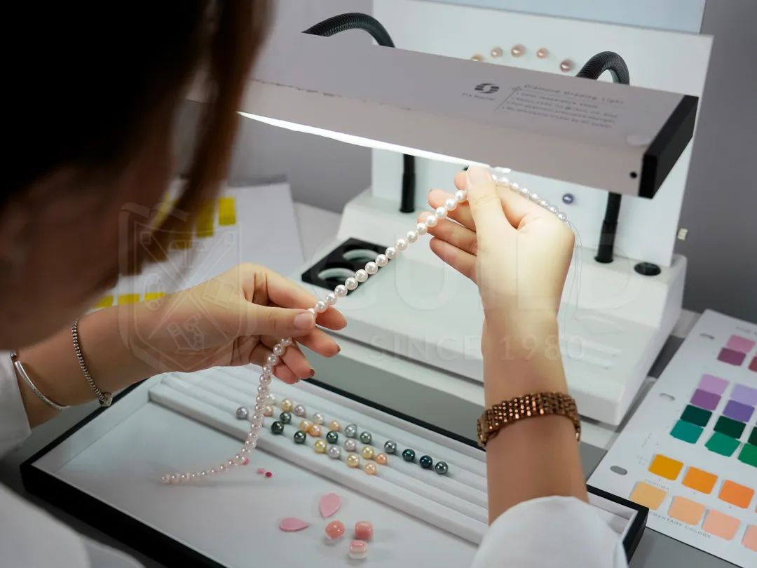 世界杯历史上最昂贵的比赛,最贫穷的世界杯