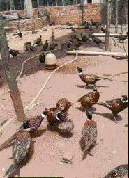 网恋奔现大型翻车纯属尴尬,网恋奔现兄弟们这算翻车吗