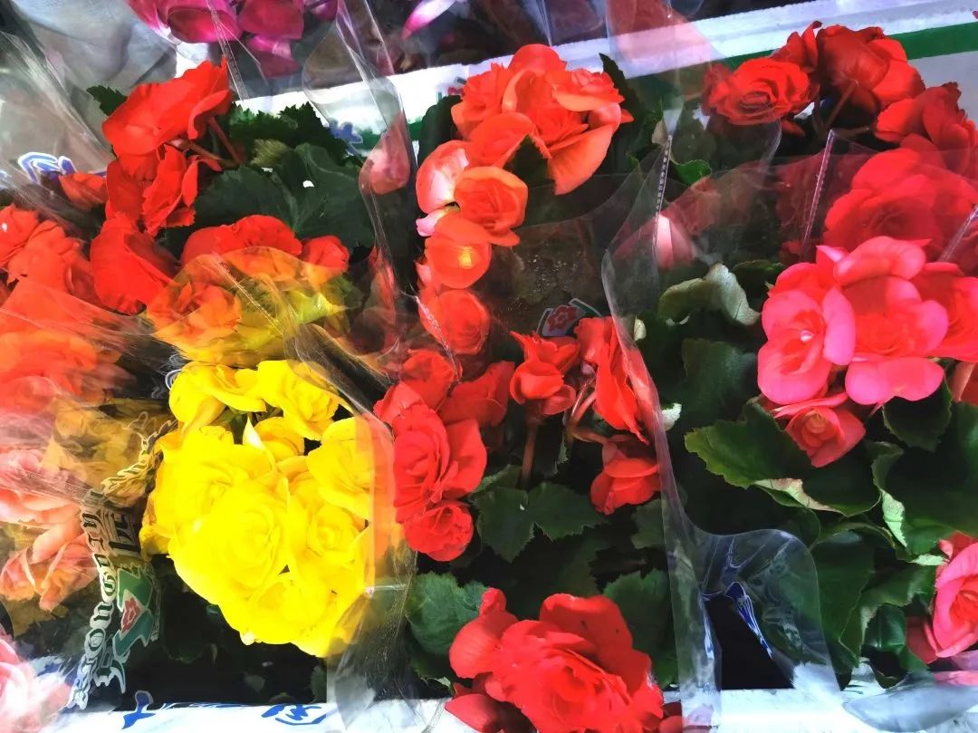 东城过大年|春节临近年味浓，东城年货市场供销两旺