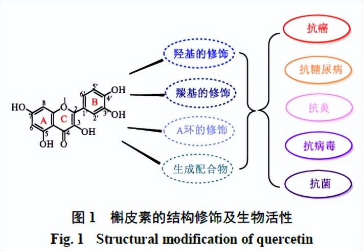 槲皮素的氧化机理,槲皮素的有关药物活性成分