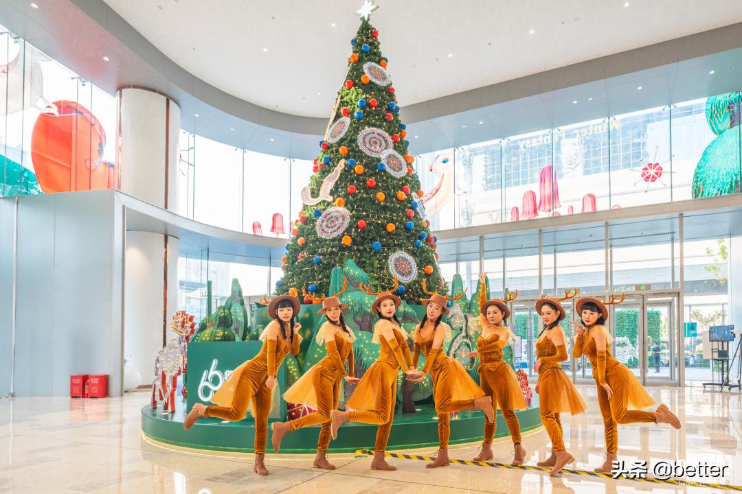 跟随一群奇幻麋鹿，我开启了一场「森」诞之旅