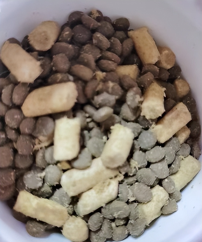 猫生猫粮真实测评,喵达猫粮猫咪吃了好吗